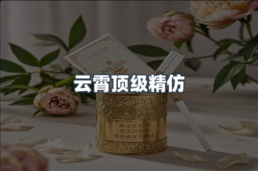 云霄顶级精仿